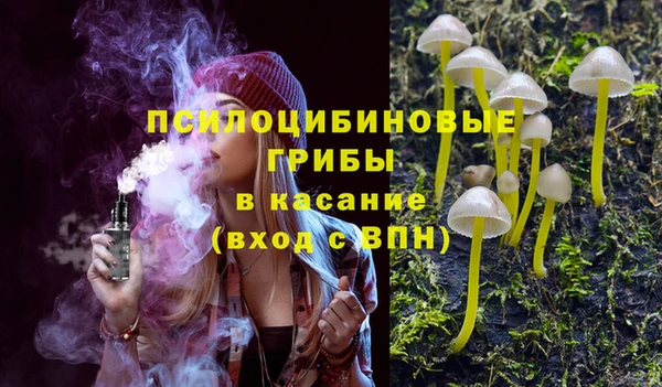 дурь Алексин