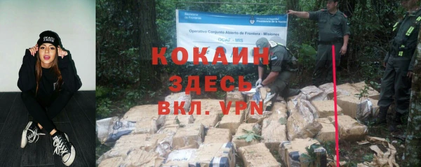 дурь Алексин