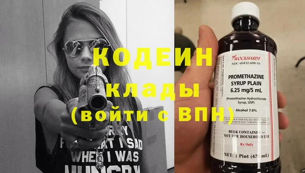 дурь Алексин