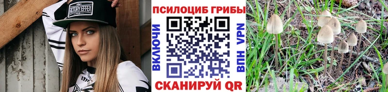 Псилоцибиновые грибы ЛСД Бронницы
